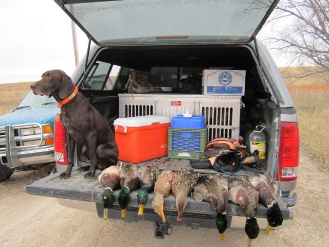 Jump shoot on a small pond in Kansas, November 2011