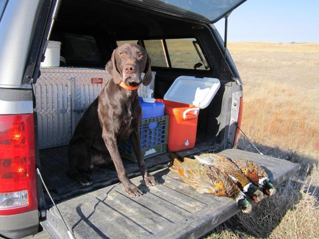 A triple over point, Kansas, November 2011