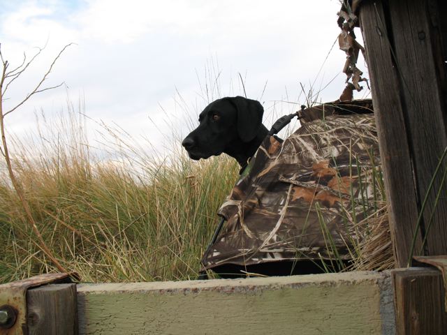 Cooper's half sister in the duck blind